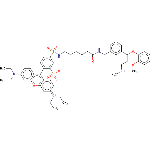 Chemical structure of BindingDB Monomer ID 50597616
