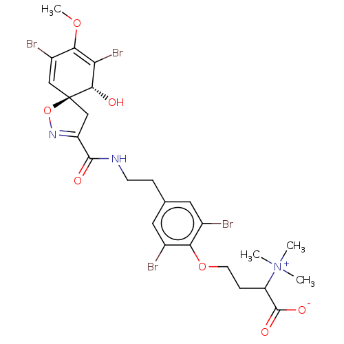 Chemical structure of BindingDB Monomer ID 50599318
