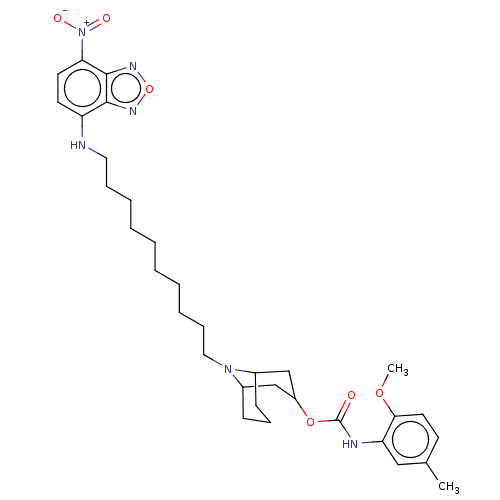 Chemical structure of BindingDB Monomer ID 50613232