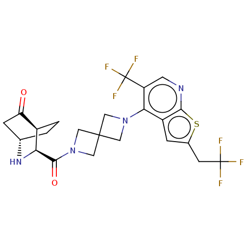 Chemical structure of BindingDB Monomer ID 554121