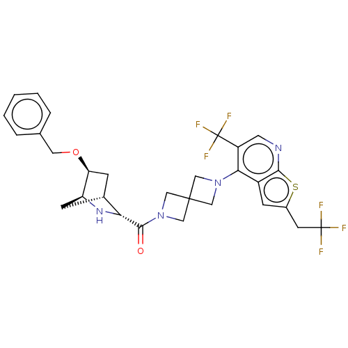 Chemical structure of BindingDB Monomer ID 554131